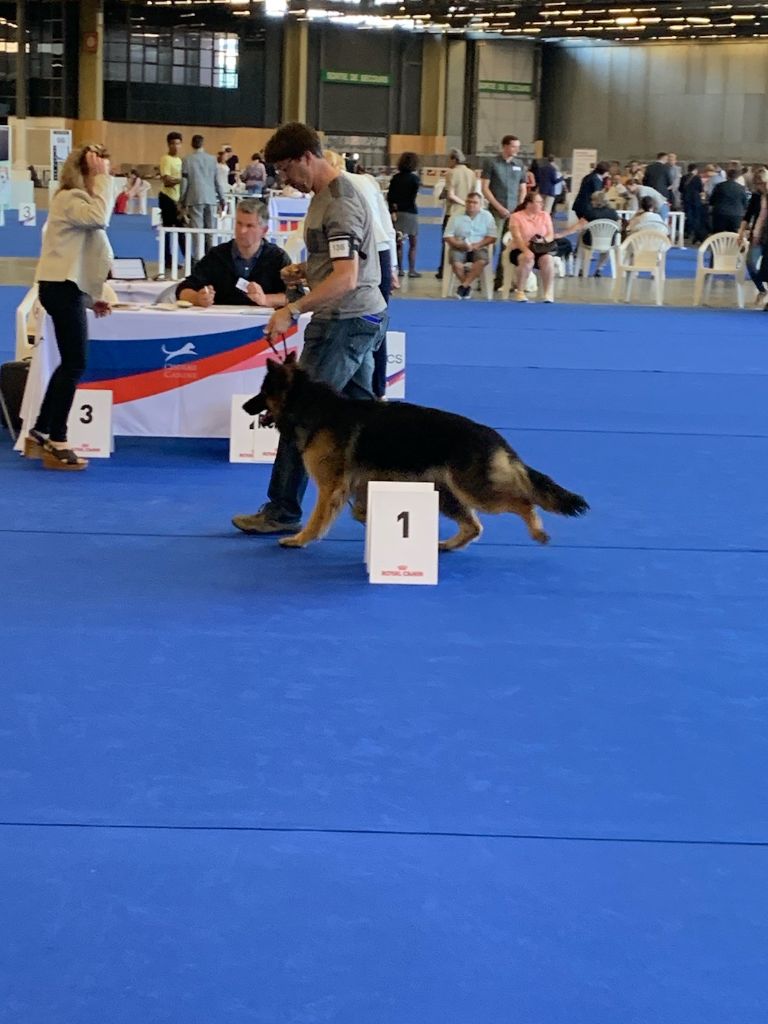 Des Gardiens Du Chalet - Grand Prix de Paris