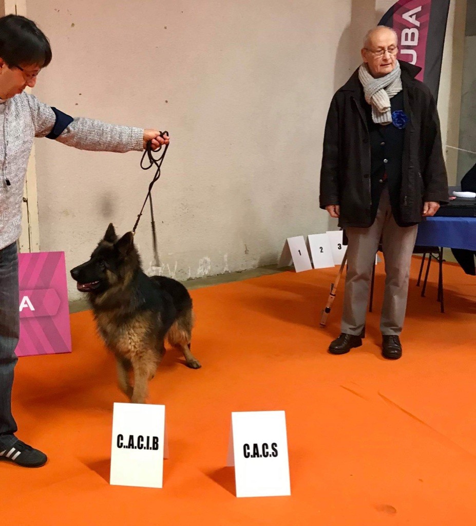 Des Gardiens Du Chalet - CACIB de Bourges